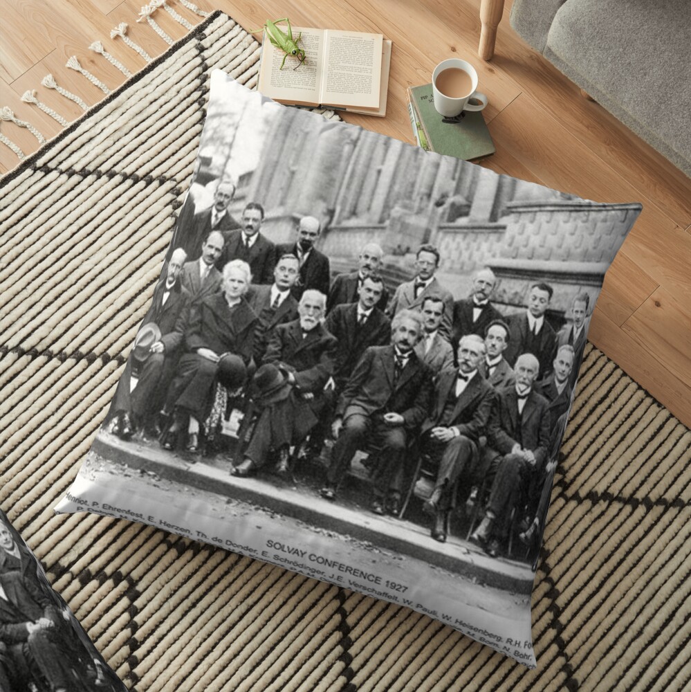 Solvay Conference Floor Pillow