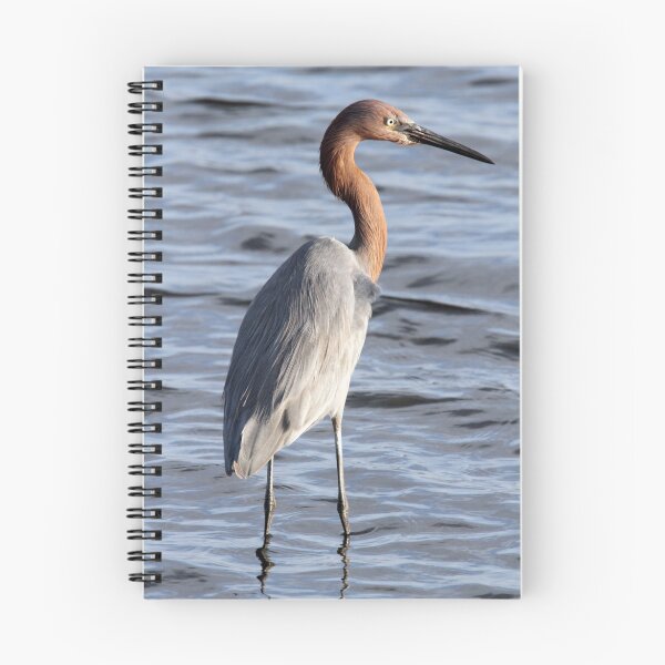 Item preview, Reddish Egret designed and sold by Michael Moss Photography.