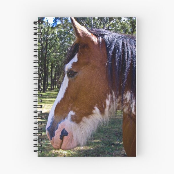 Artikelvorschau, Clydesdale Charmeur entworfen und verkauft von doug hunwick.