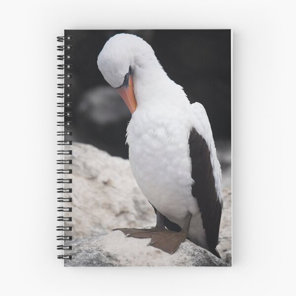Item preview, Sula dactylatra (Masked Booby) designed and sold by becks78.