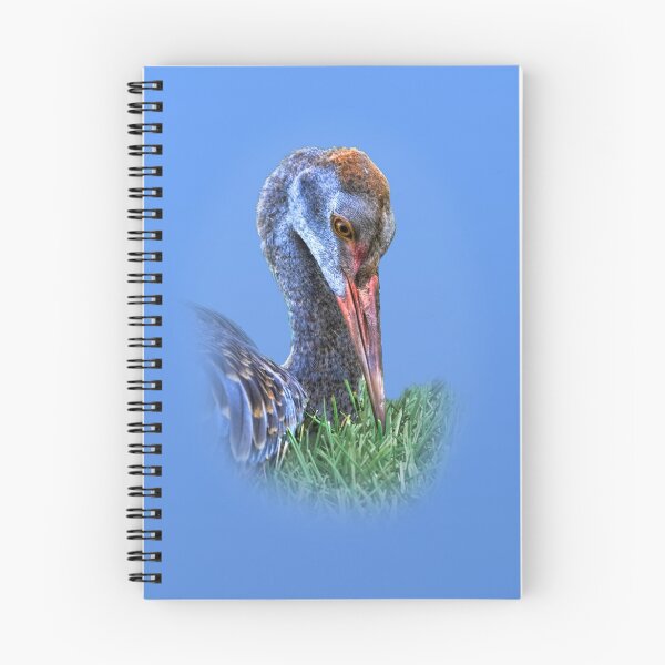 Artikelvorschau, Immature Sandhill Crane entworfen und verkauft von Delores Knowles.