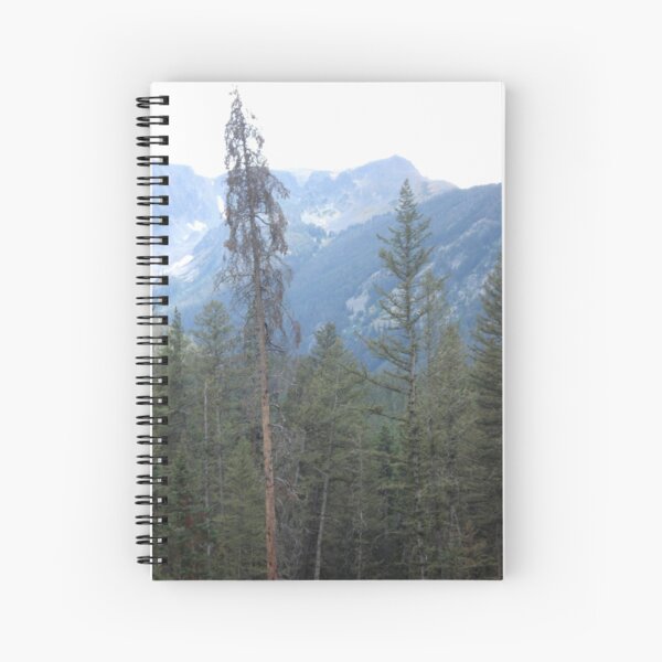 Lodgepole Pine Spiral Notebook