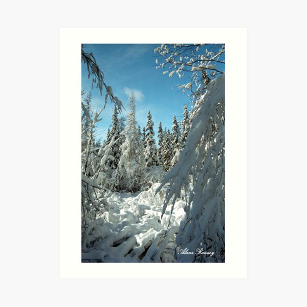 Winter Wonderland in Maine Art Print