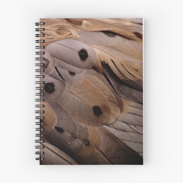 Item preview, Cape Barren Goose Feathers designed and sold by Tamara  Kenneally.