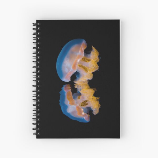 Reflexion Spiral Notebook