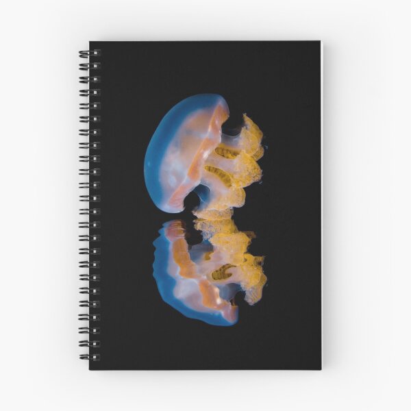 Item preview, Reflexion designed and sold by Carlos Villoch.