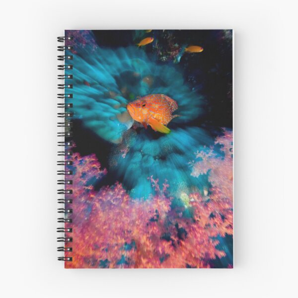 Item preview, Coral Grouper designed and sold by Carlos Villoch.