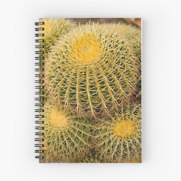Artikelvorschau, cactus entworfen und verkauft von arkadiafoto.