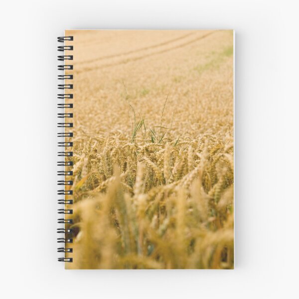 Item preview, country designed and sold by arkadiafoto.