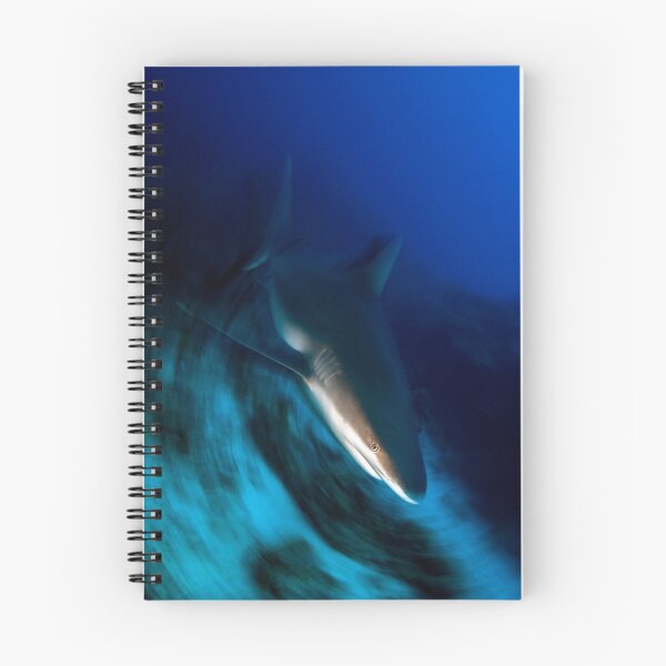 Aperçu de l'œuvre Shark créée et vendue par Carlos Villoch.