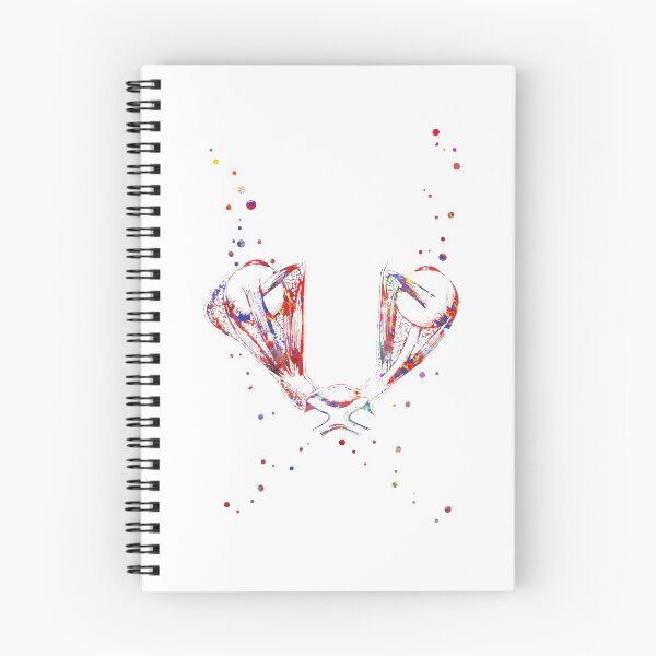 Item preview, The optic chiasm, optic nerve, optometry print, optic, eye muscles, ophthalmology, human eye, eye anatomy, brain anatomy designed and sold by Rosaliartbook.