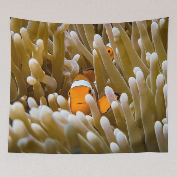 Item preview, Clownfish designed and sold by Libby Sterling.