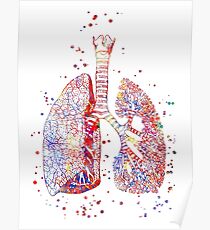 Lungs, lungs anatomy, medical art, watercolor lungs, abstract lungs Poster