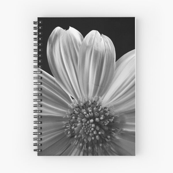 Item preview, Daisy designed and sold by bsmf.