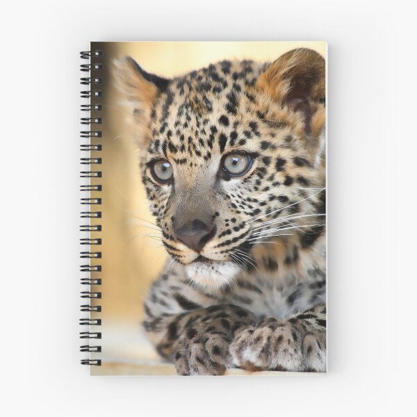 Item preview, Snow Leopard Kitten designed and sold by Anne McKinnell.