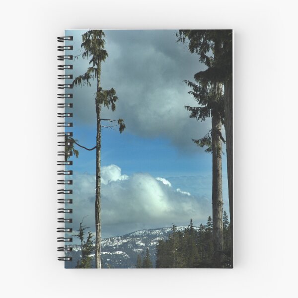 Item preview, Trees and Sky designed and sold by Jann Ashworth.