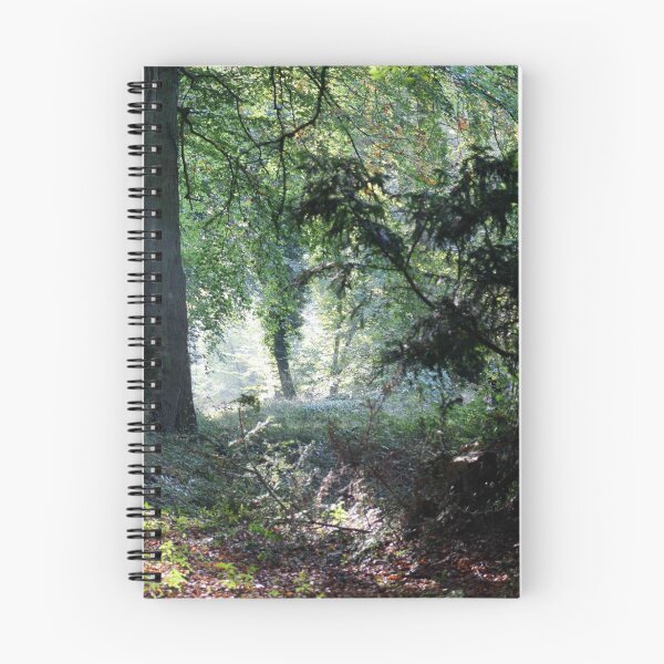 Aperçu de l'œuvre Misty Woods II créée et vendue par Sabine Jacobsen [SJArt].