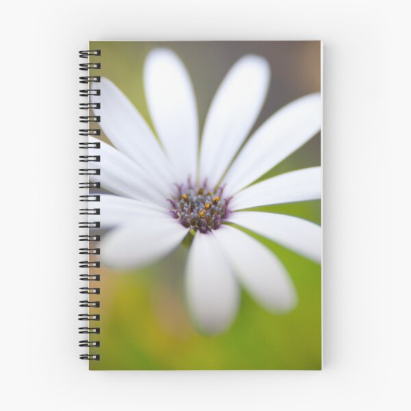 Aperçu de l'œuvre Soft Daisy créée et vendue par sparkstudio.