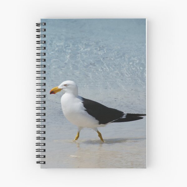 Item preview, Pacific Gull designed and sold by wilderness.