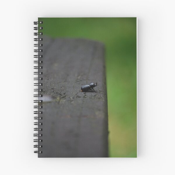 Item preview, Adventurous designed and sold by TriciaDanby.