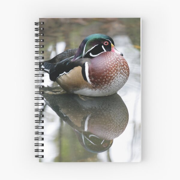 Item preview, Duck known as bashful designed and sold by Laddie Halupa.