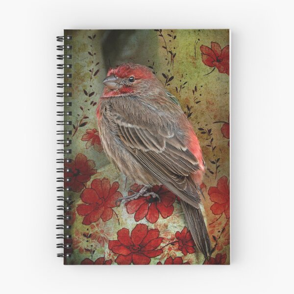 Item preview, Fancy Finch designed and sold by Bonnie T.  Barry.