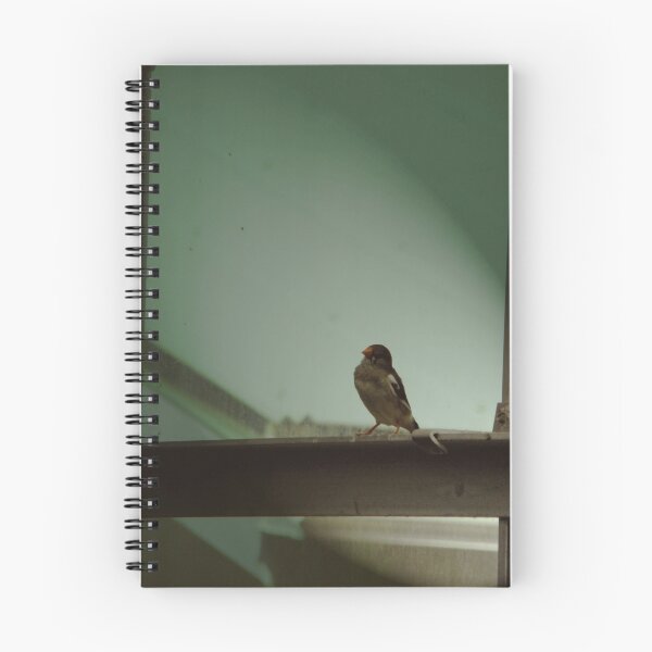 Item preview, who is missing me today?. designed and sold by picisa.