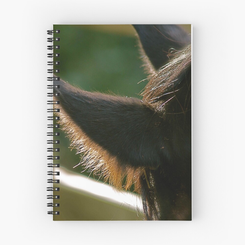 Vista previa del artículo con la obra «Cuaderno de espiral», diseñado y vendido por sjay.