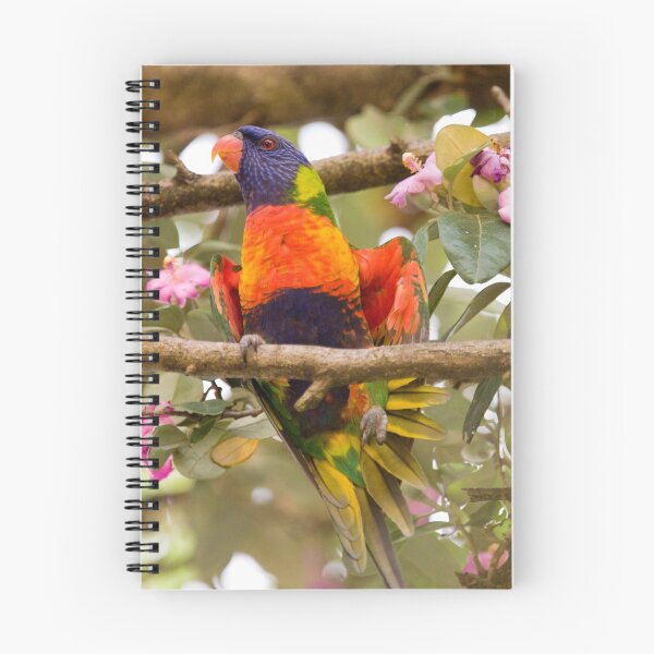 Item preview, Aren't I pretty? - Rainbow Lorikeet designed and sold by PurelyPrime.