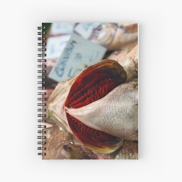 Corvina Fish Spiral Notebook