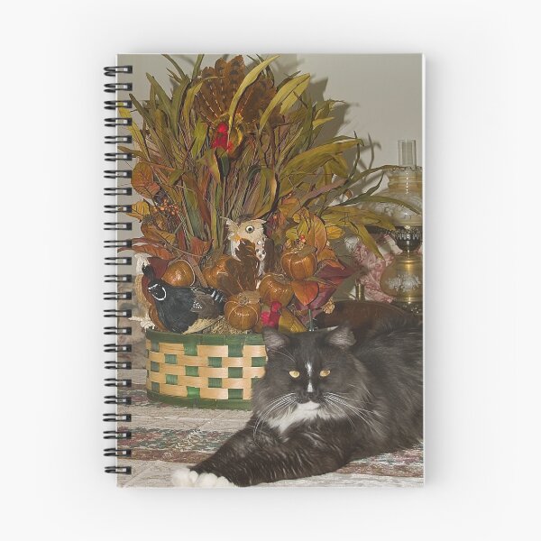 Item preview, Pyewacket Enjoyed Thanksgiving designed and sold by Memaa.