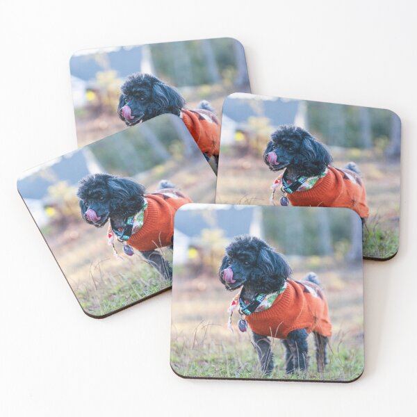 Item preview, Toy poodle in a Suburb Jungle designed and sold by KensLensDesigns.
