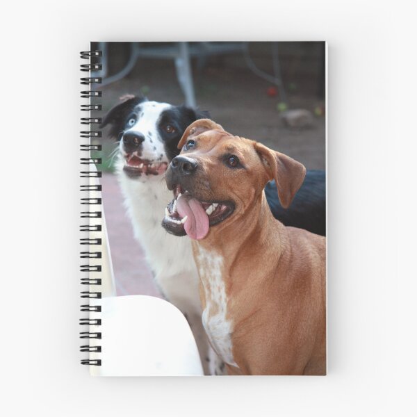 Artikelvorschau, Pet Portraits entworfen und verkauft von Tracey Barry.