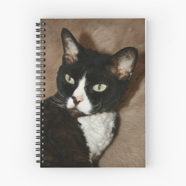 Item preview, He's my boss designed and sold by Joy Watson - Natural Light Photography .