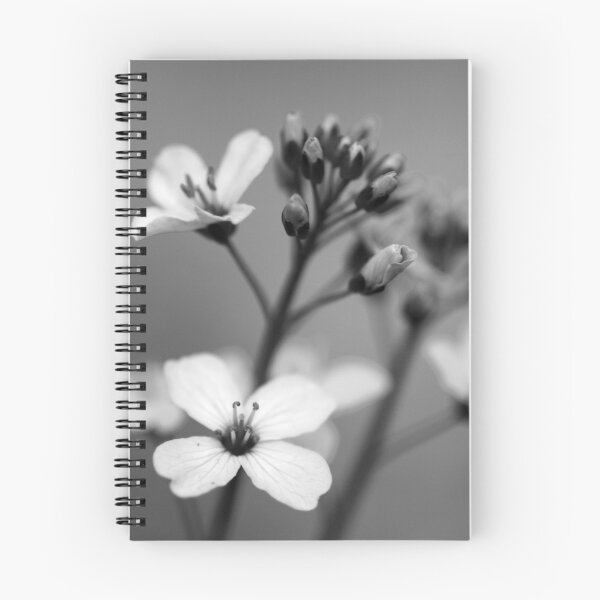 Item preview, B&W flower #7 designed and sold by Régis Charpentier.