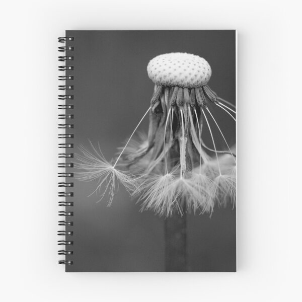 Item preview, B&W flower #11 designed and sold by Régis Charpentier.