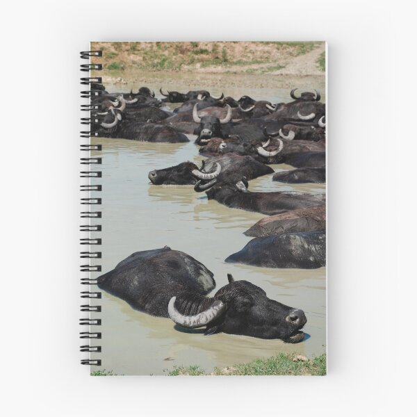 Item preview, Water Buffalo Wallowing in Mud, Hungary  designed and sold by jojobob.