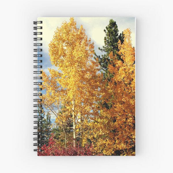 Item preview, "Fall Colors" designed and sold by Lynn Bawden.