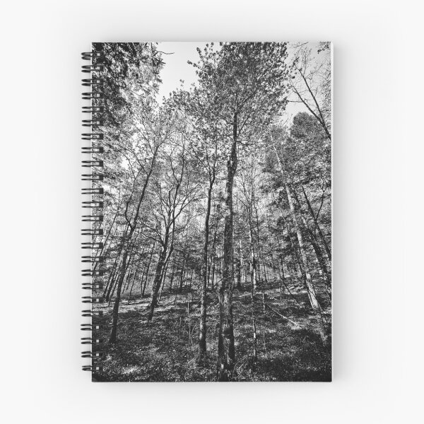 Item preview, Trees in the Forest designed and sold by Eyecbeauty.