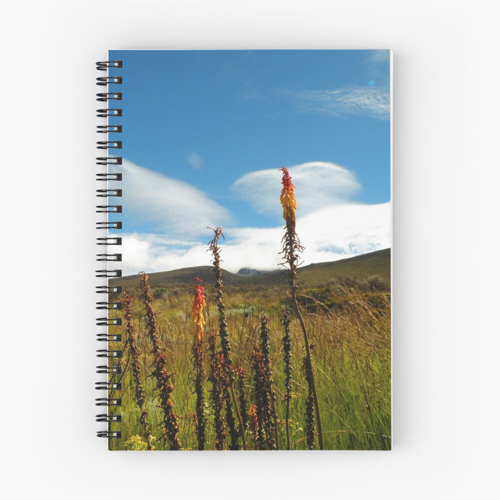 Item preview, Spiral Notebook designed and sold by James Prutilpac.