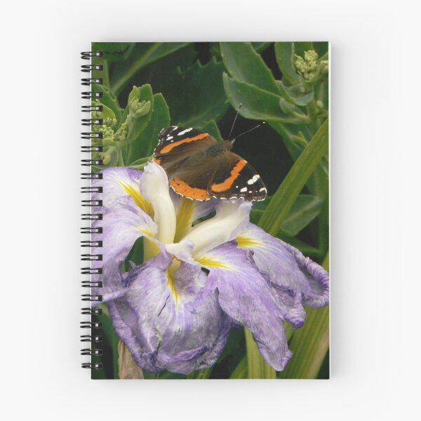 Item preview, Butterfly on lavendar iris designed and sold by MischaC.