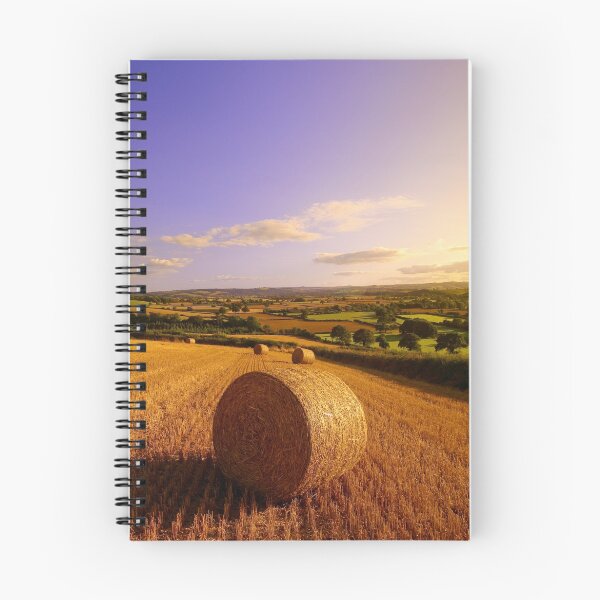 Item preview, Haybales at Sunset designed and sold by Neil Buchan-Grant.