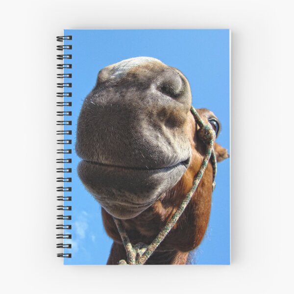 Item preview, I've Always looked up to you. designed and sold by Heather Haderly.