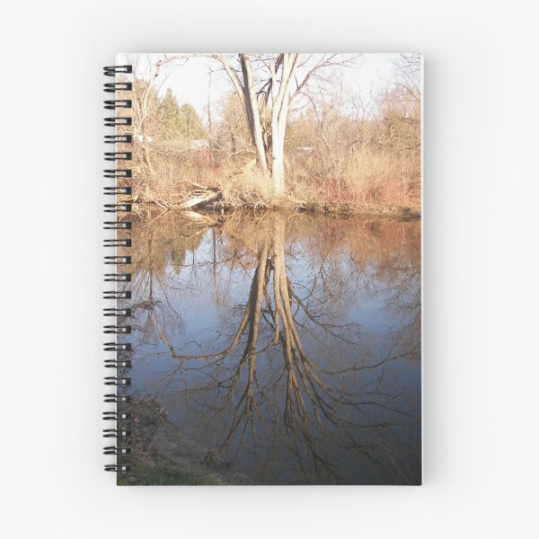 Item preview, reflections  designed and sold by vcoulter.