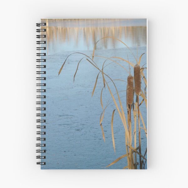 Item preview, Cattails on Ice designed and sold by kenspics.