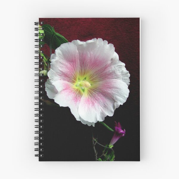 Item preview, Pretty in Pink designed and sold by kittyrodehorst.