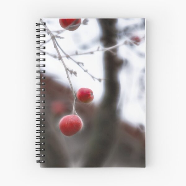 Item preview, Apples of December designed and sold by Oleksii Rybakov.