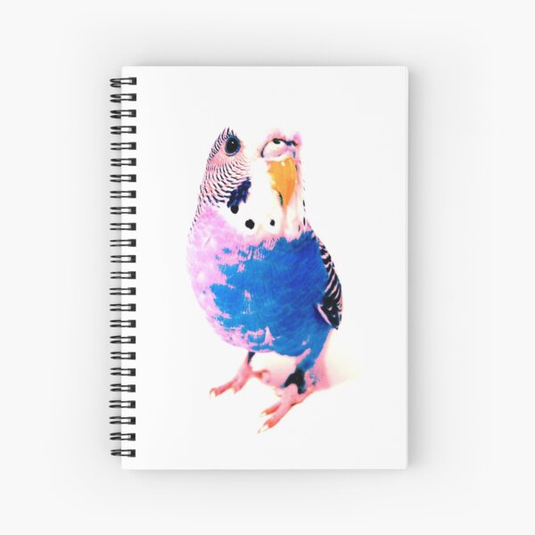 Pink and Blue Coo Spiral Notebook