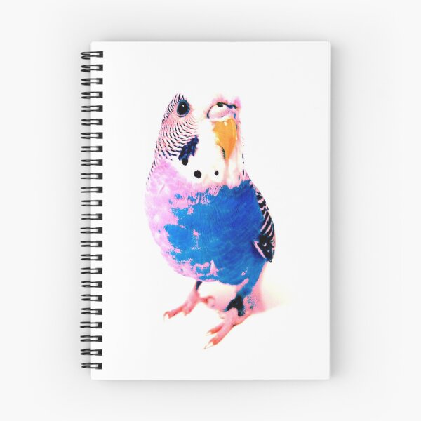 Item preview, Pink and Blue Coo designed and sold by coodew.