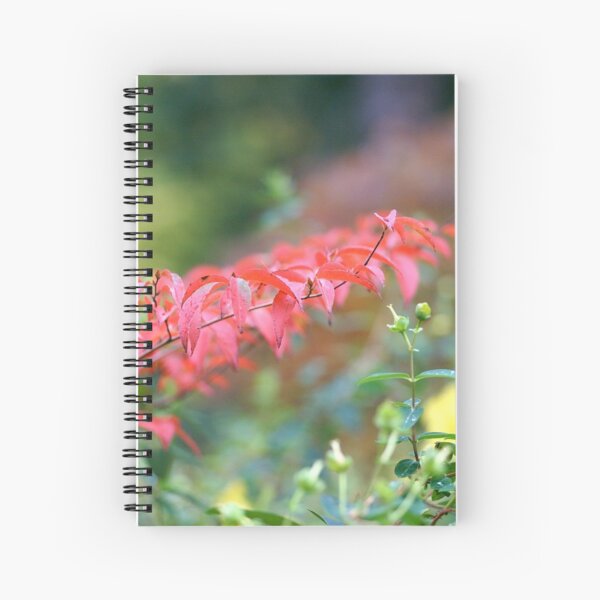 Red Shot Spiral Notebook